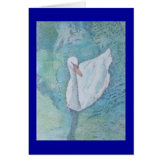 Singleschwan