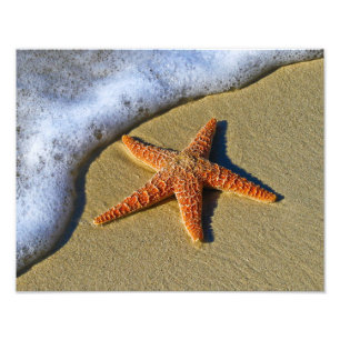 SingleStarfish auf Strand Fotodruck