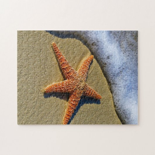 SingleStarfish auf Strand Puzzle (Horizontal)