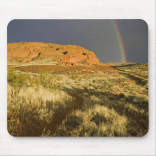 Singletrack im Red Cliffs Desert Preserve bei Mousepad