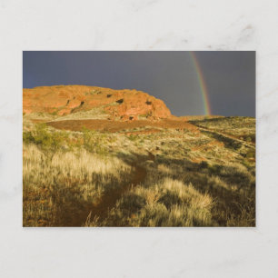 Singletrack in der Red Cliffs Wüste Postkarte