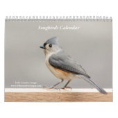 Singvögel 2026 kalender (Titelbild)