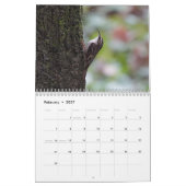 Singvögel aus Nordamerika Kalender (Feb 2027)