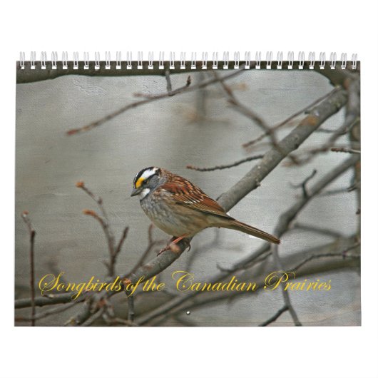 Singvögel der kanadischen Prärien Kalender (Titelbild)