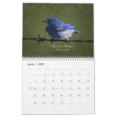 Singvögel der kanadischen Prärien Kalender (Mär 2027)
