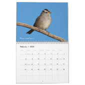 Singvogel-Fotografie 2019 Kalender (Feb 2026)