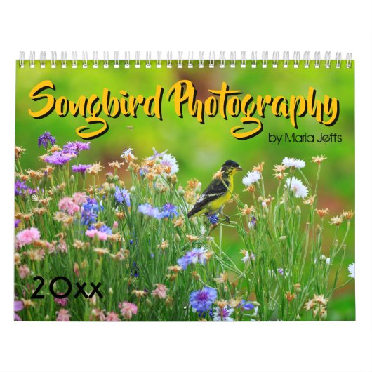 Singvogel-Fotografie 2019 Kalender (Titelbild)