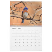 Singvogel-Fotografie 2019 Kalender (Jan 2026)