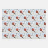 Singvögel Geschenkpapier Set (Vorderseite)