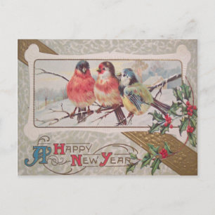 Singvogel Holly Schnee Postkarte