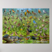 Singvögel im Westen Poster (Vorne)