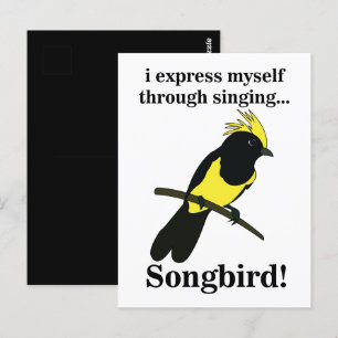 Singvogel Meise Vogel Lustiger Vogelbeobachtung Vo Postkarte