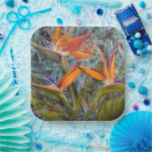 Singvogel Pappteller (Party)