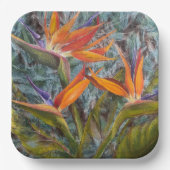 Singvogel Pappteller (Vorderseite)