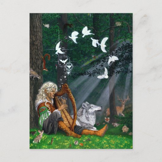 Singvögel - Postkarte (Vorderseite)