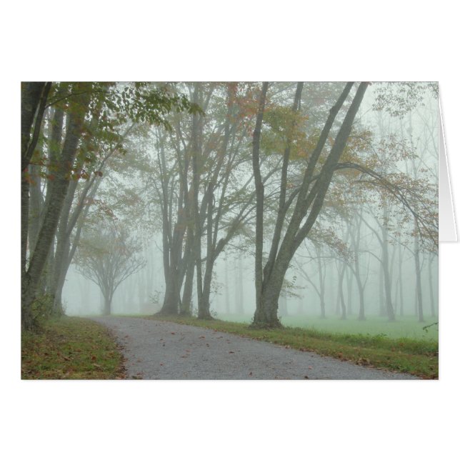 Singvogel-Spur (Vorderseite (Horizontal))