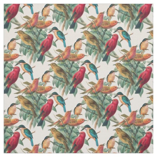 Singvögel Stoff (Muster)