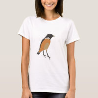 Singvogel