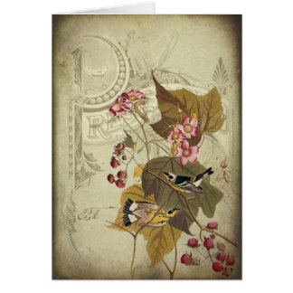 Singvögel und Beeren