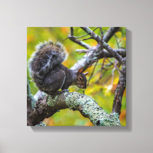 SINISTER SQUIRREL WRAPPING CANVAS DRUCKEN LEINWANDDRUCK
