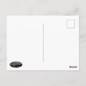 Sinister Sunset Postkarte (Rückseite)