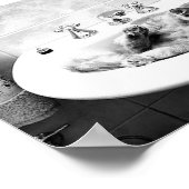 sink_cats_12 Haustiere Kühe zart Poster (Ecke)