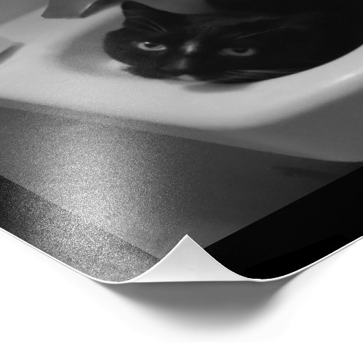 Sink Fun Fotodruck (Ecke)