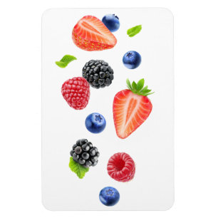 Sinkende Beeren Magnet