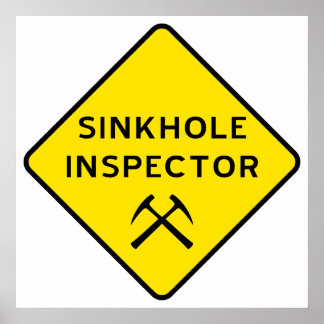 Sinkhole Inspector Poster