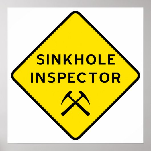 Sinkhole Inspector Poster (Vorne)