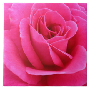 Sinnlich Candy Rote Rose Foto Fliese