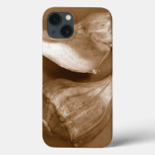 Sinnliche Muscheln Case-Mate iPhone Hülle (Rückseite)