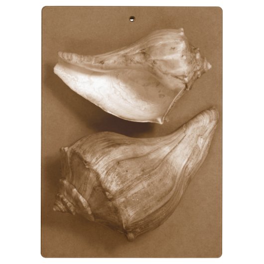 Sinnliche Muscheln Klemmbrett (Rückseite)