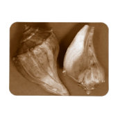 Sinnliche Muscheln Magnet (Horizontal)