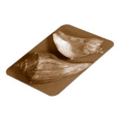 Sinnliche Muscheln Magnet (Linke Seite)