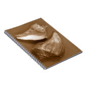 Sinnliche Muscheln Notizblock (Rechte Seite)