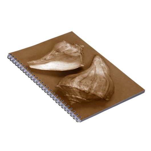 Sinnliche Muscheln Notizblock (Rechte Seite)