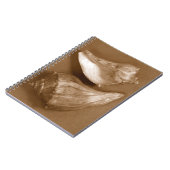 Sinnliche Muscheln Notizblock (Linke Seite)