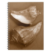 Sinnliche Muscheln Notizblock (Vorderseite)