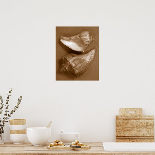 Sinnliche Muscheln Poster (Küche)