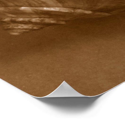 Sinnliche Muscheln Poster (Ecke)