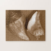 Sinnliche Muscheln Puzzle (Horizontal)