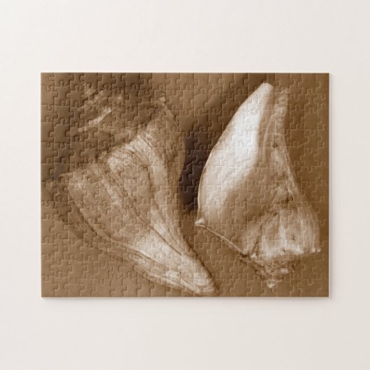 Sinnliche Muscheln Puzzle (Horizontal)