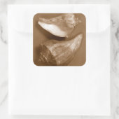 Sinnliche Muscheln Quadratischer Aufkleber (Tasche)