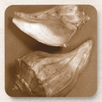 Sinnliche Muscheln