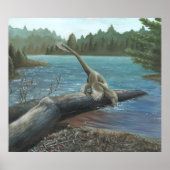 Sinornithosaurus Print Poster (Vorne)