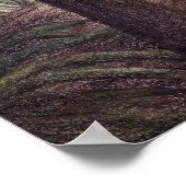 Sinosauropteryx drucken poster (Ecke)