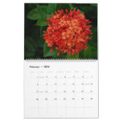 Sint Maarten - St. Martin 12 Monate Kalender (Feb 2026)