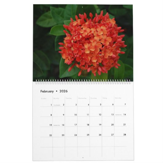 Sint Maarten - St. Martin 12 Monate Kalender (Feb 2026)