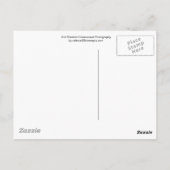 Sint Maarten - St. Martin Ocean Blue Seascape Post Postkarte (Rückseite)